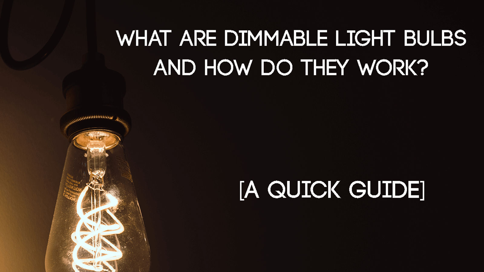 What are dimmable light bulbs and how do they work? [A Quick Guide