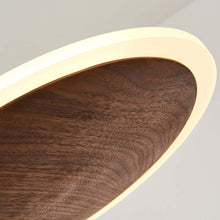 Load image into Gallery viewer, Close-up of Solid Disc Pendant Light
